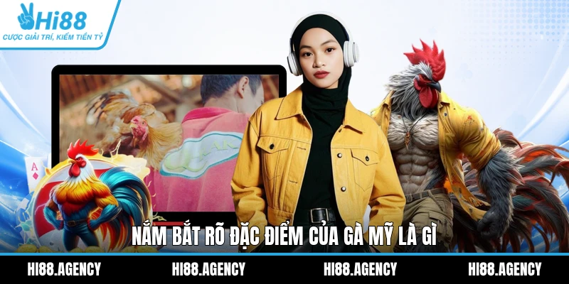 Nắm bắt rõ đặc điểm của gà Mỹ là gì