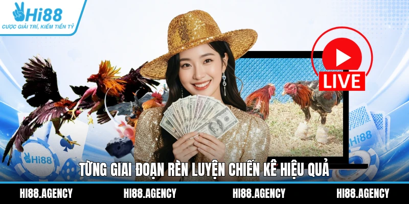 Từng giai đoạn rèn luyện chiến kê hiệu quả