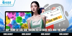 Quy Trình Cơ Cấu Giải Thưởng Xổ Số Được Hiểu Như Thế Nào?